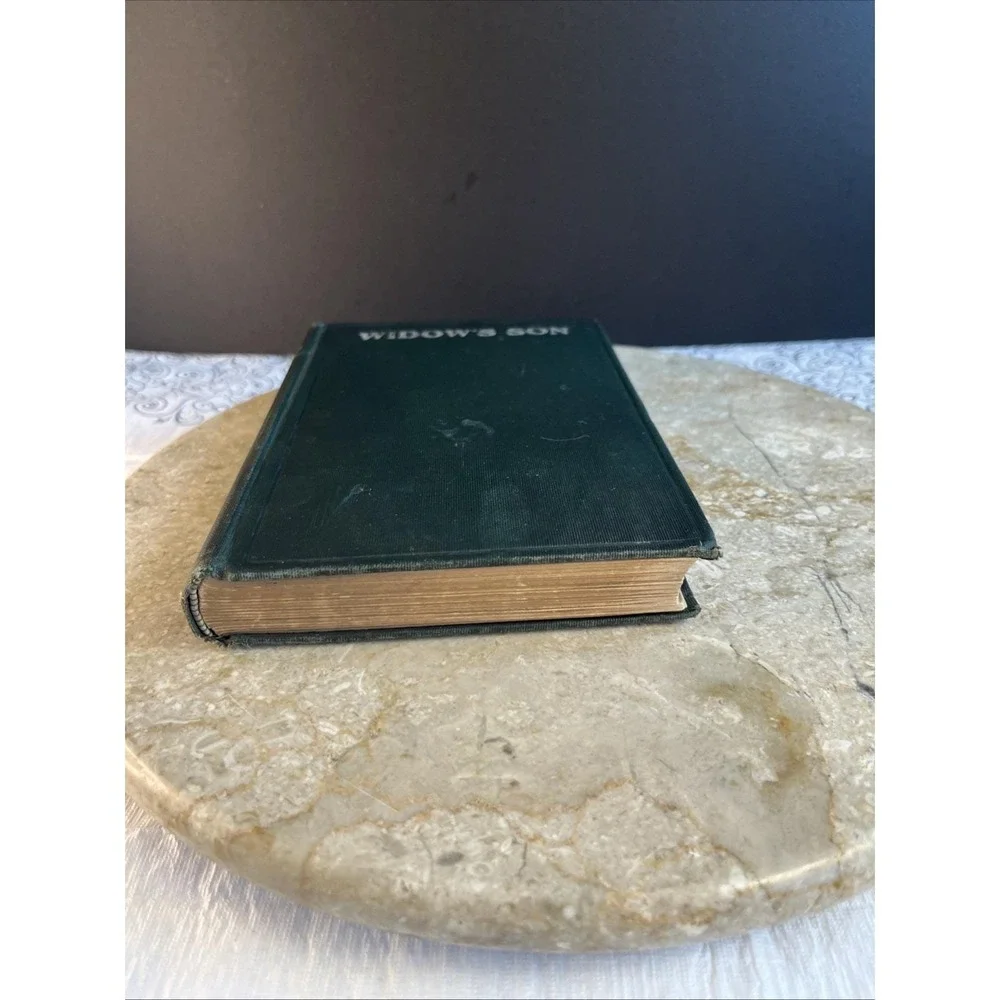 Early 1900's Copy Widow's Son by Mrs. E D E N Southworth Good Condition